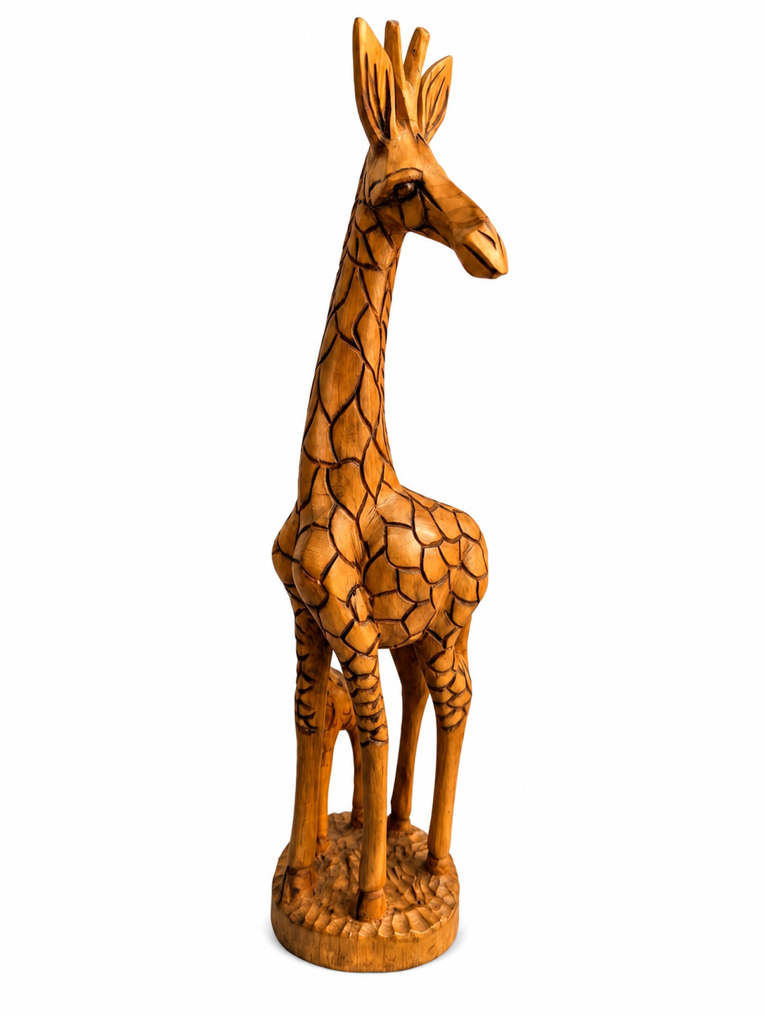 Une Girafe et son Petit